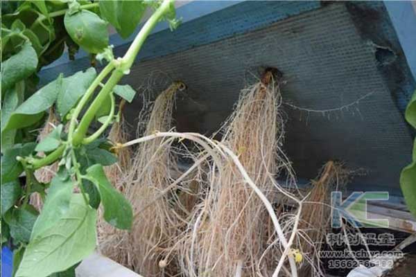 無(wú)土栽培，無(wú)土栽培技術(shù)，無(wú)土栽培設(shè)備