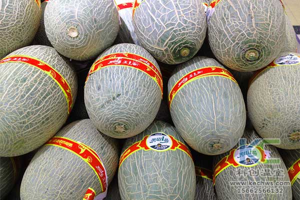 無土栽培，無土栽培技術，無土栽培設備