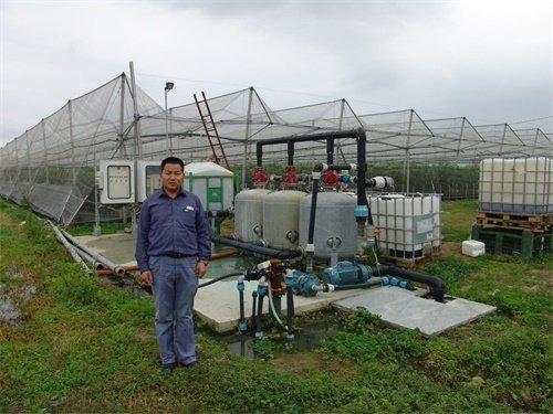 無土栽培，無土栽培技術，無土栽培設備