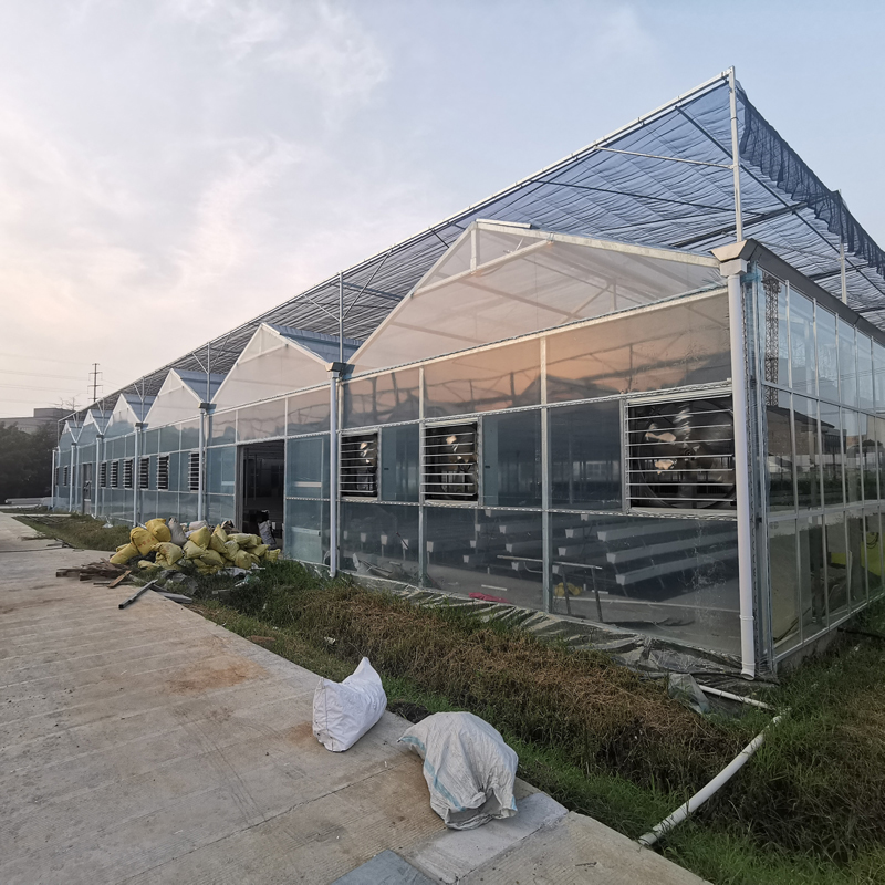 無土栽培，無土栽培技術(shù)，無土栽培設(shè)備
