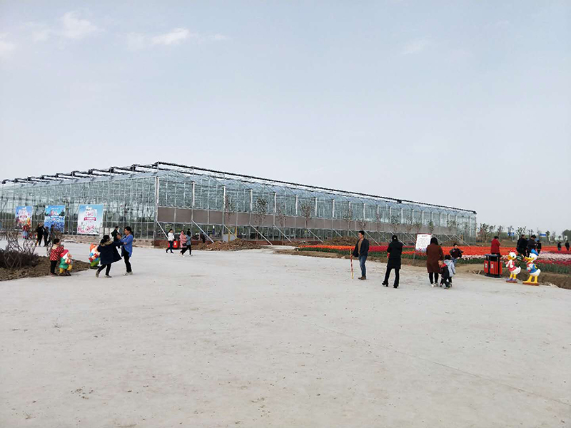 無土栽培，無土栽培技術，無土栽培設備